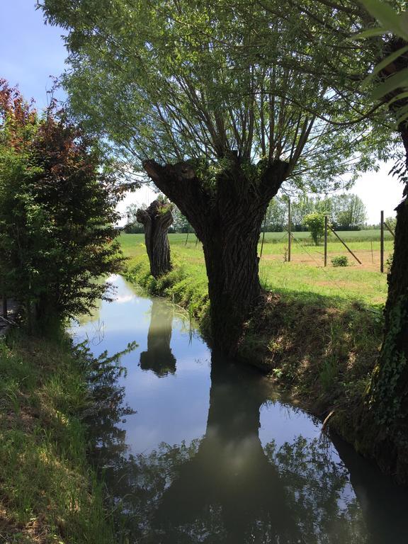 Corte Mondina Gazoldo degli Ippoliti Exteriör bild